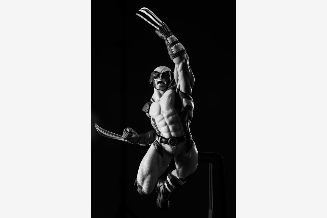 写真屋ごんちゃんが撮影した「figure」の写真