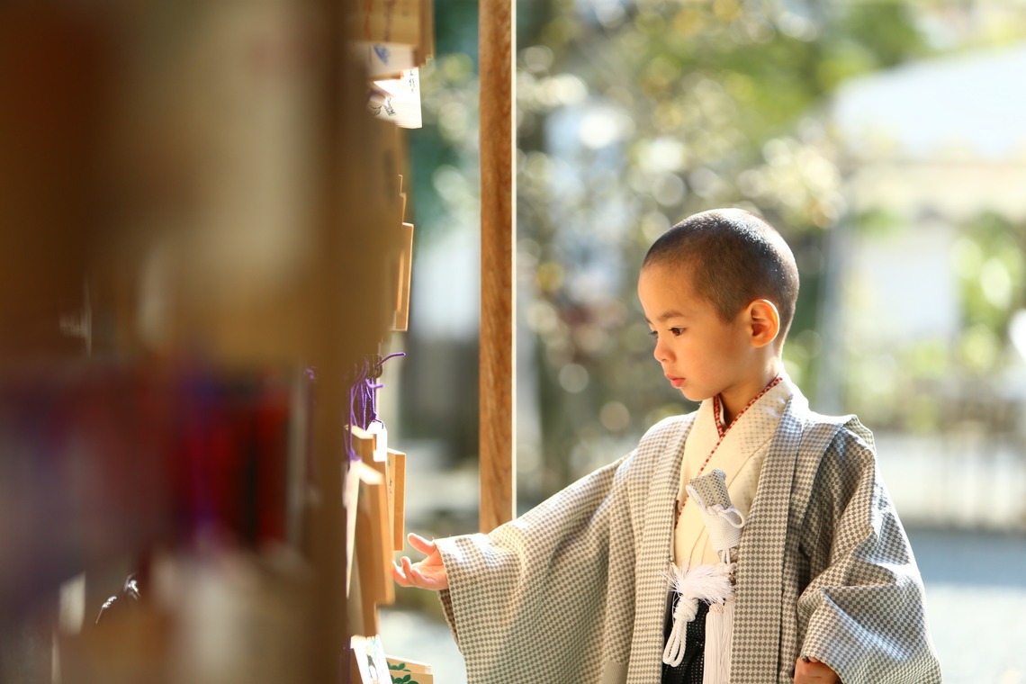 Photographer  Tomoが撮影した写真のアルバム「七五三祝い」