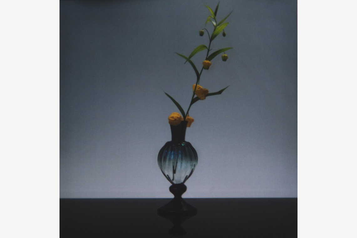 岡村公平が撮影した写真のアルバム「物撮り」