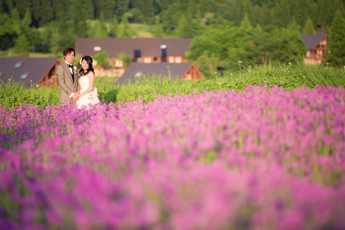 Photo of  taken by studio HATOYA