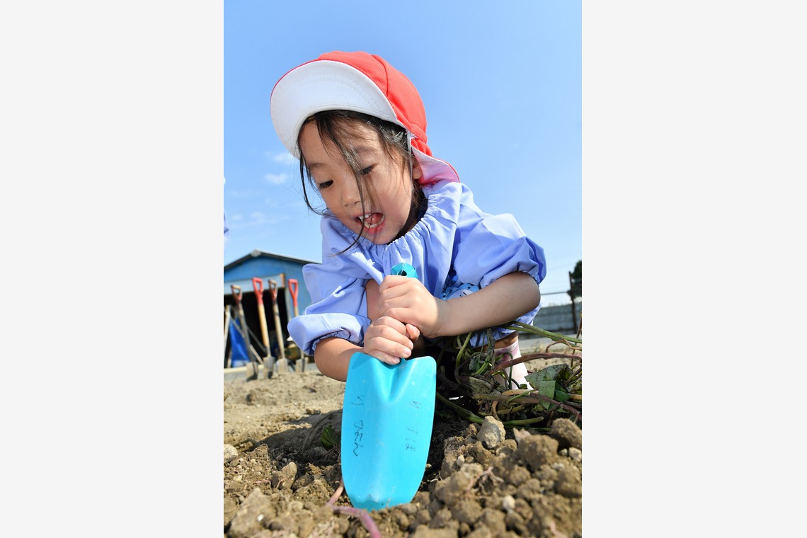 TAMURA PHOTO