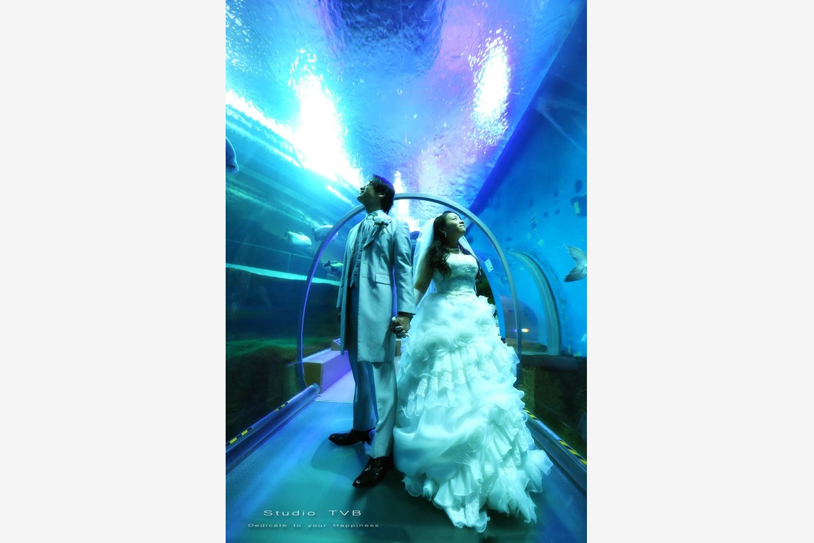 Studio TVB (スタジオtvb)が撮影した「ロケーションフォト」の写真