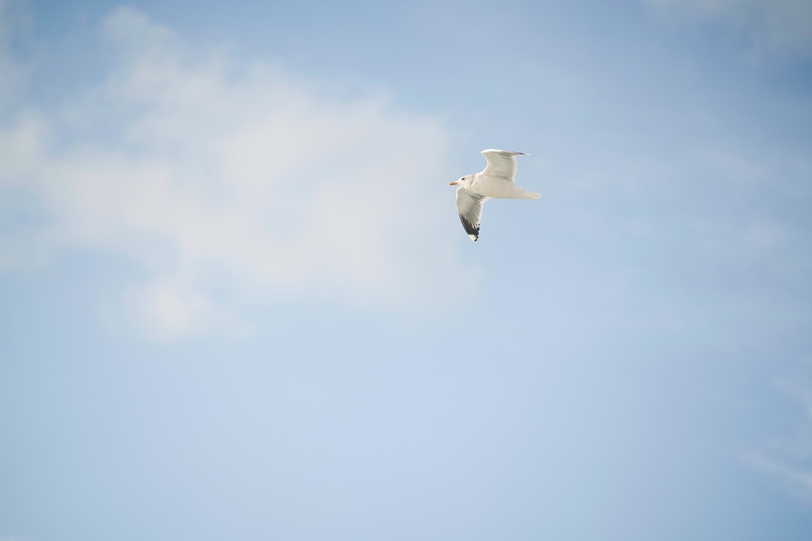 Tak Ogawa photographerが撮影した「風景写真」の写真