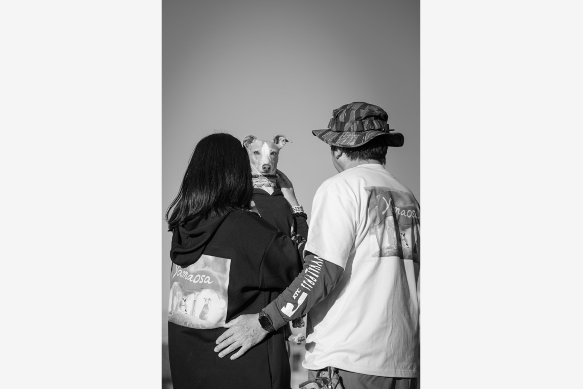 T.Matsumuraが撮影した「ペット」の写真