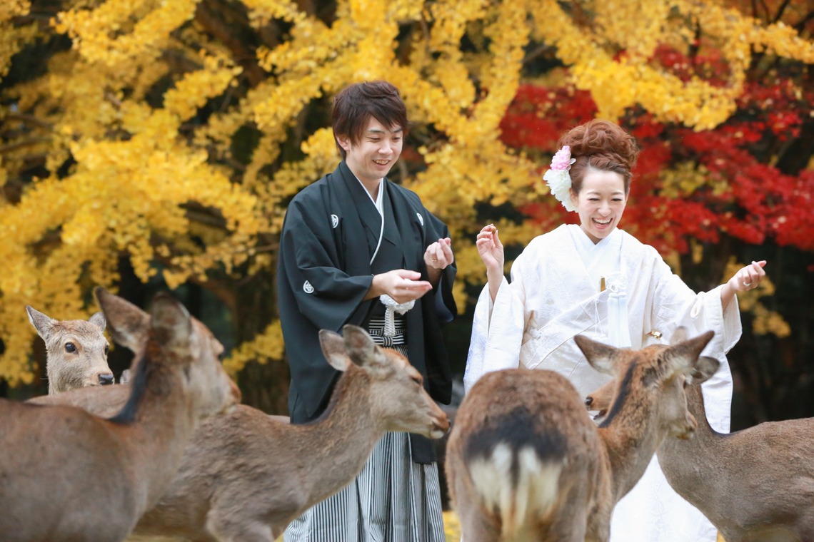 Hayashi Photo Worksが撮影した「奈良フォト」の写真
