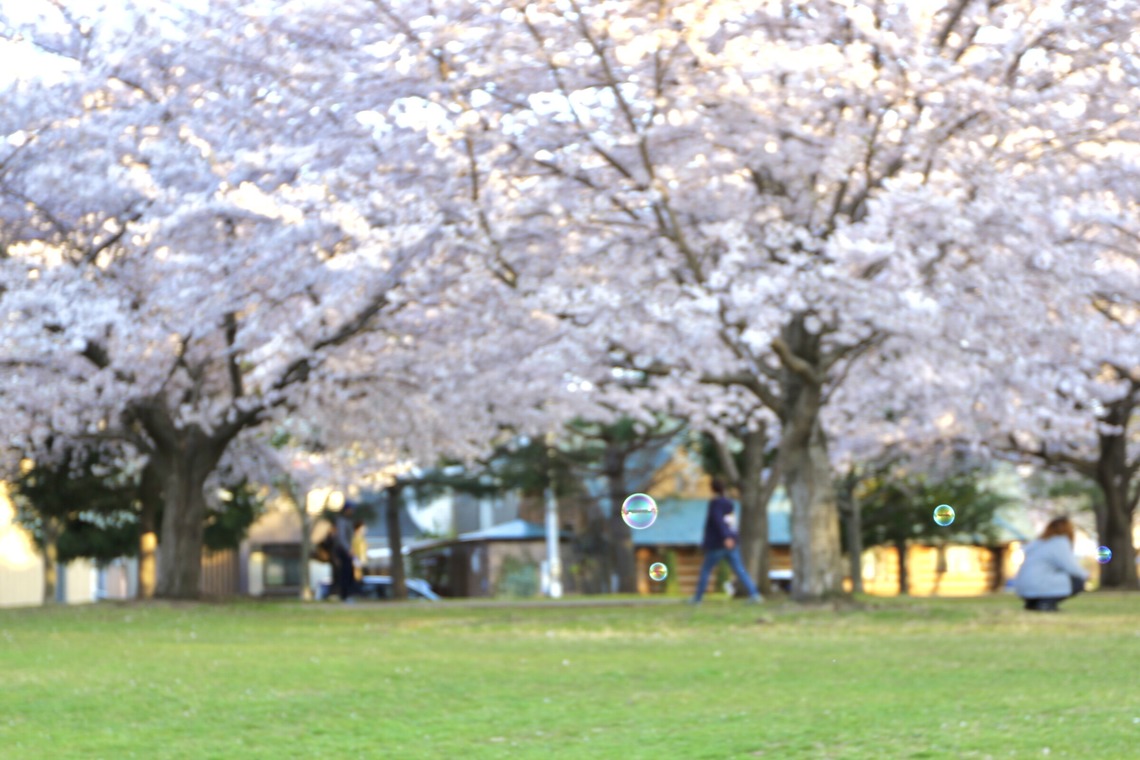TATEZOUが撮影した「ポートレート等」の写真