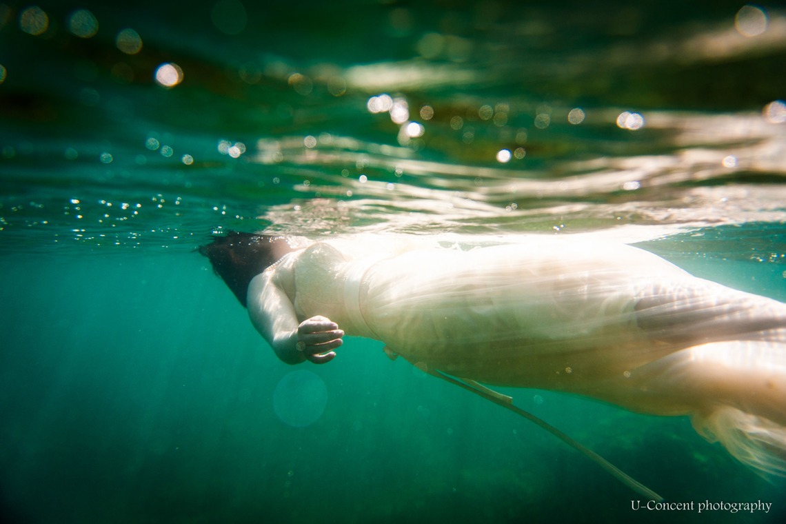 U-CONCENT (香川裕貴)が撮影した写真のアルバム「水中ウェディング写真_和歌山、福井県」