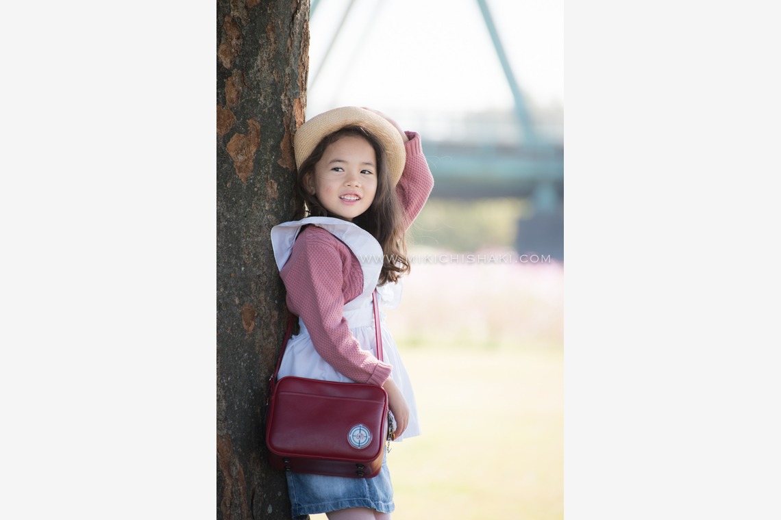 MC-photoが撮影した写真のアルバム「2016_Nov_江戸川区」