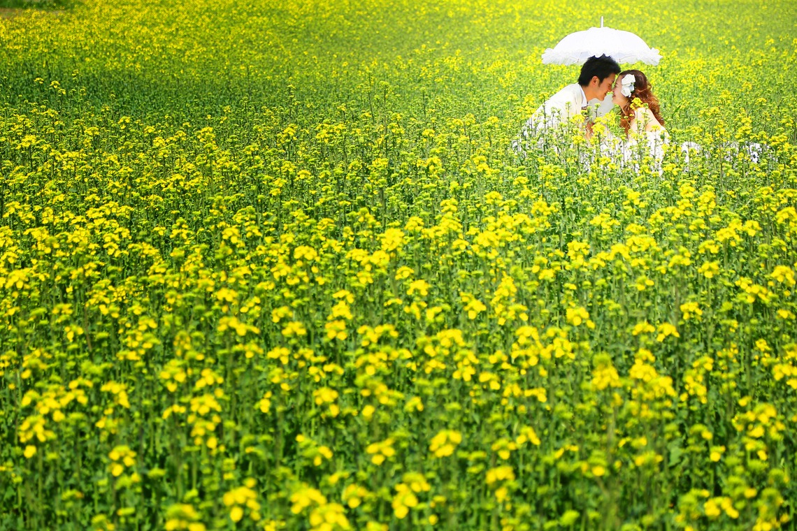 Wedding Produce FILが撮影した写真のアルバム「フォトギャラリー」