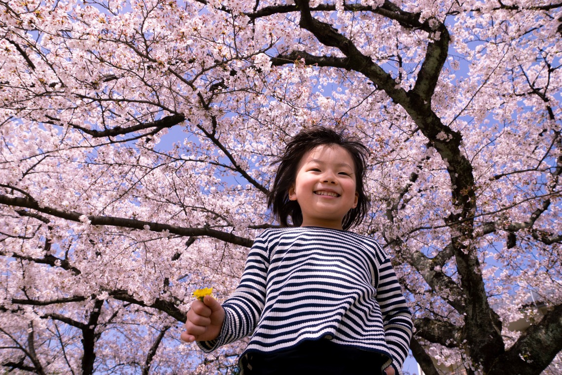 Ayumu Yamashitaが撮影した「」の写真