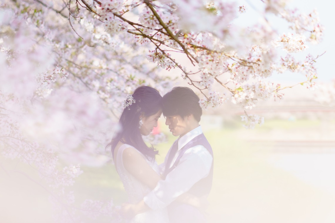 Studio&Gallery Analog　SAEKI PHOTOSTUDIO