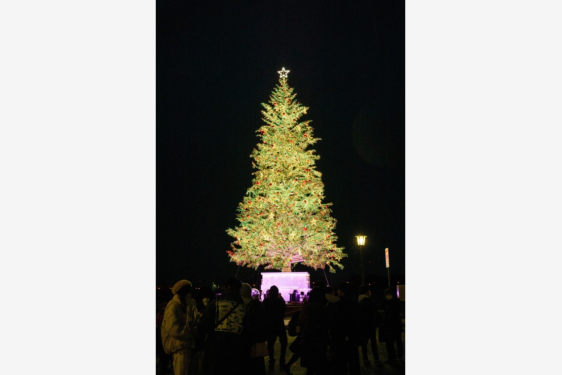 ウィリアムズ　侑依が撮影した「ナイトウェディング」の写真