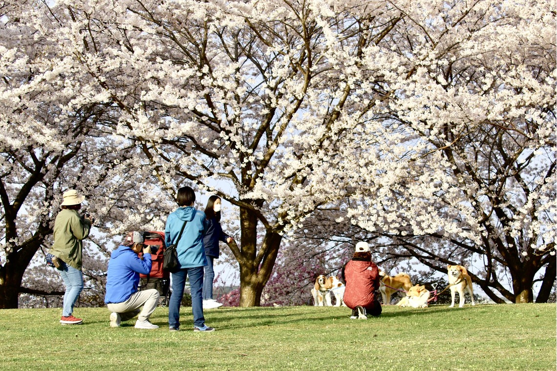TATEZOUが撮影した「ポートレート等」の写真
