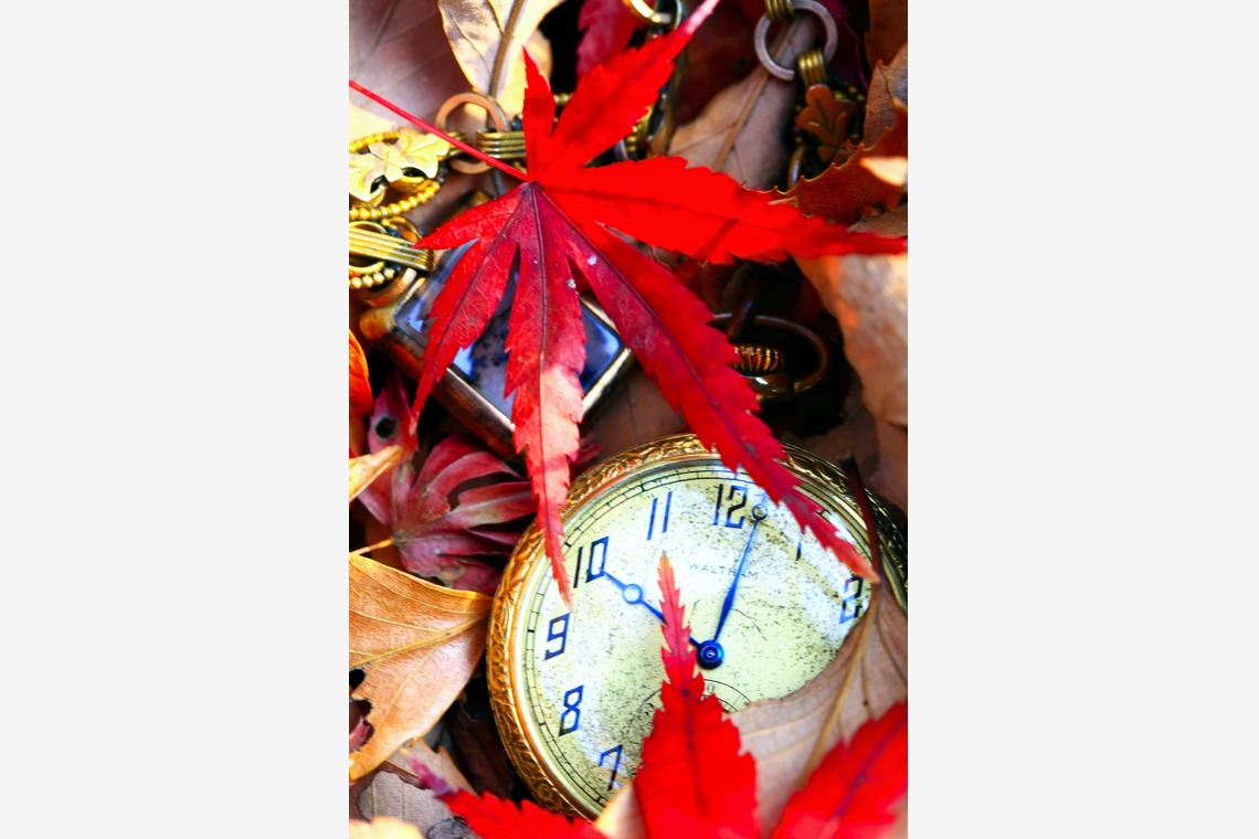 合同会社めろんぱん・ふぉとが撮影した「物撮り」の写真