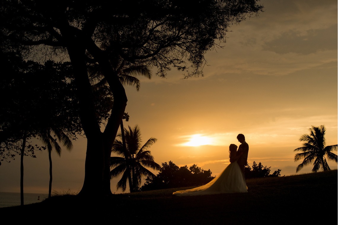 Photo of  taken by CINEVIE