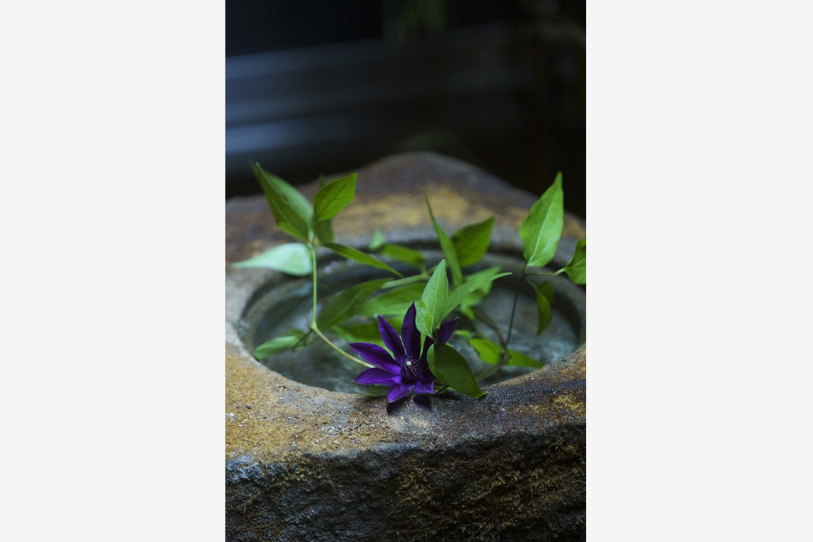 ノーザンスタジオが撮影した写真のアルバム「国際茶会／International Tea Crermony」