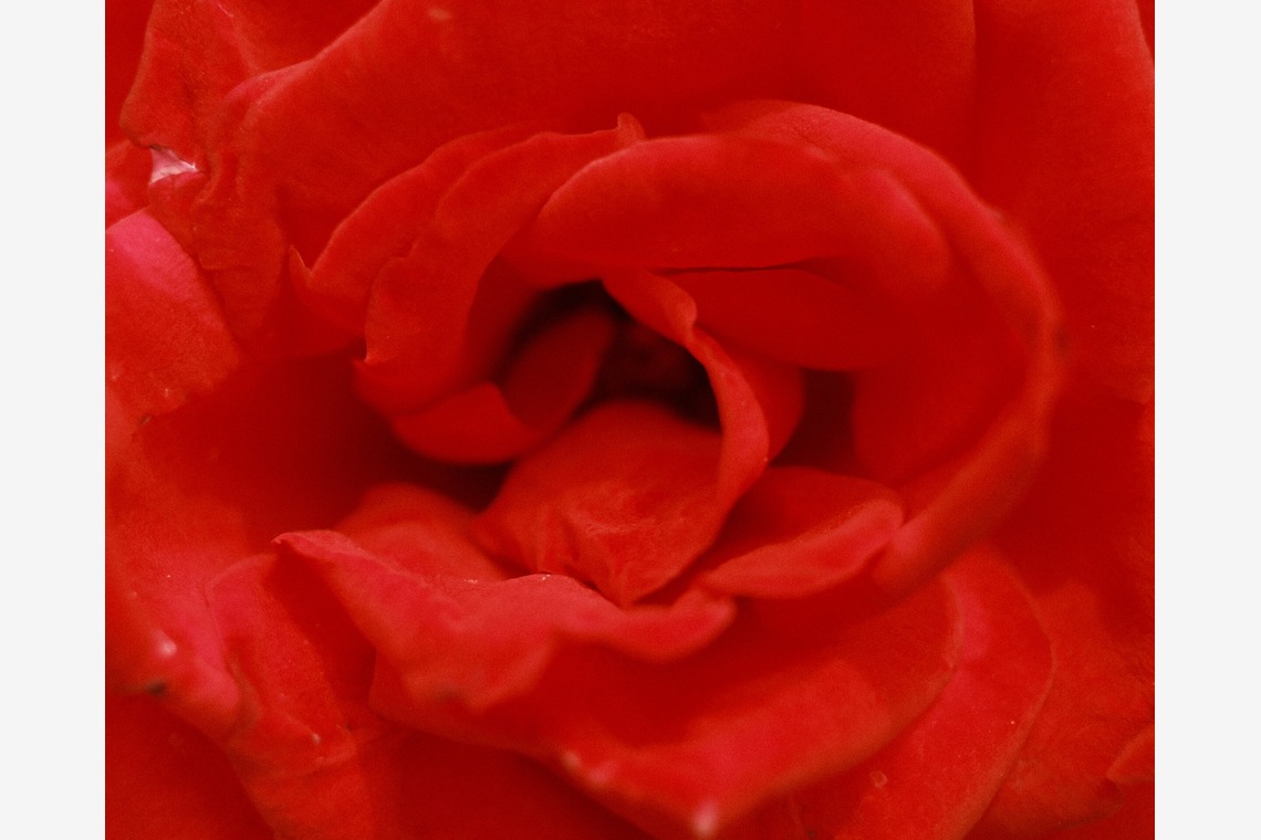 岡村公平が撮影した「物撮り」の写真