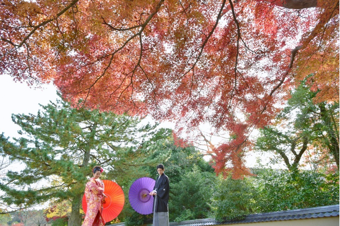 Album of the Wedding, Bridal taken by Kiki photo works - Pre Weddingphotoshoot in Nara Park