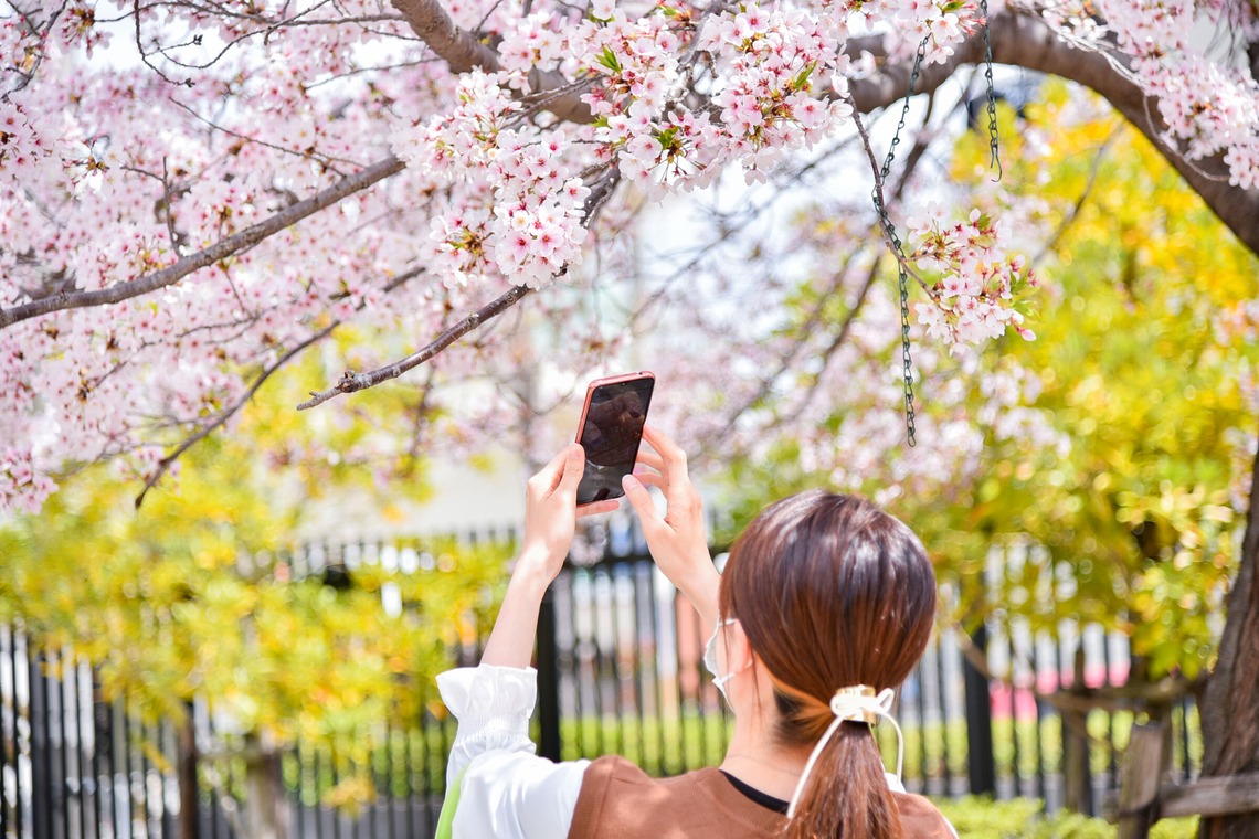 Bus Driver Photo NAKAMOTOが撮影した写真のアルバム「イベント撮影_スマホ講座」