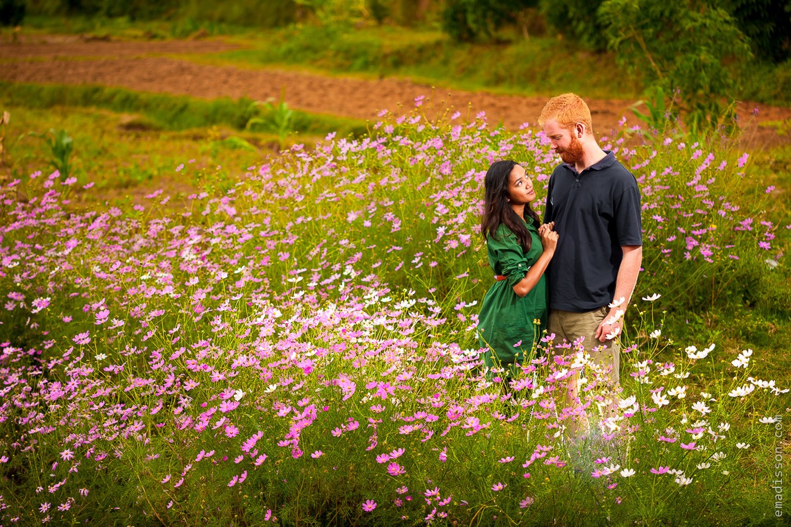 Emadissonが撮影した写真のアルバム「」