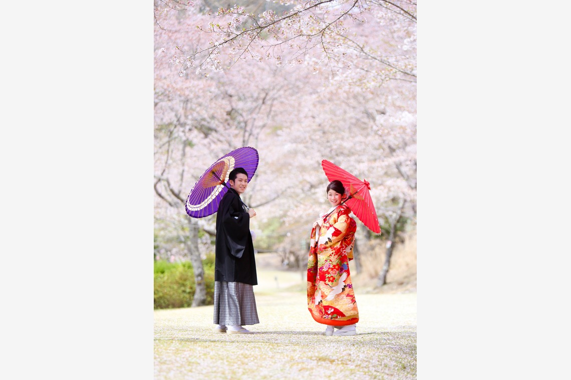 KIKIウェディングが撮影した写真のアルバム「ピンクの桜」