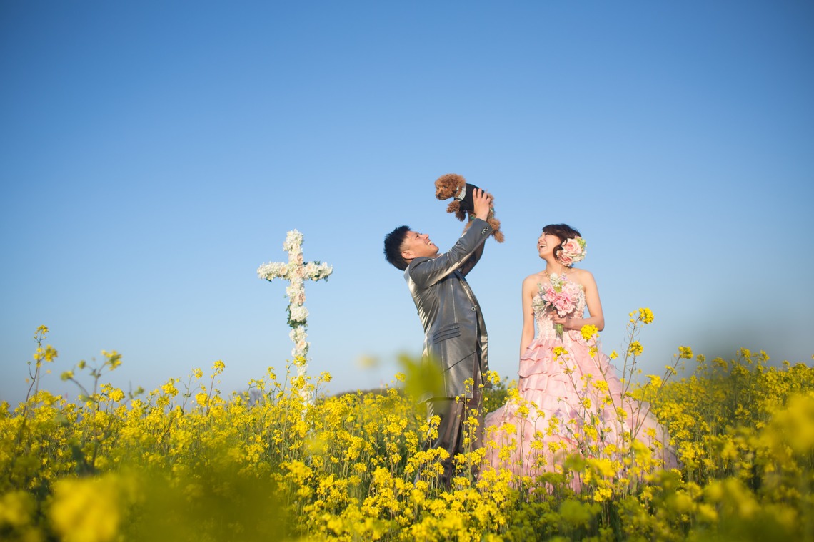 阿部写真館　徳島本店（北原 慎也）が撮影した写真のアルバム「ひまわり　菜の花ロケーションフォト」