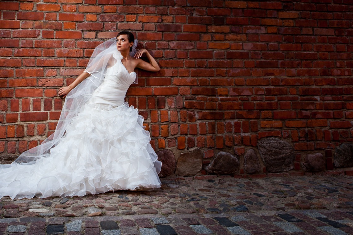 Wedding Photography Dubaiが撮影した「ドバイで???カメ」の写真