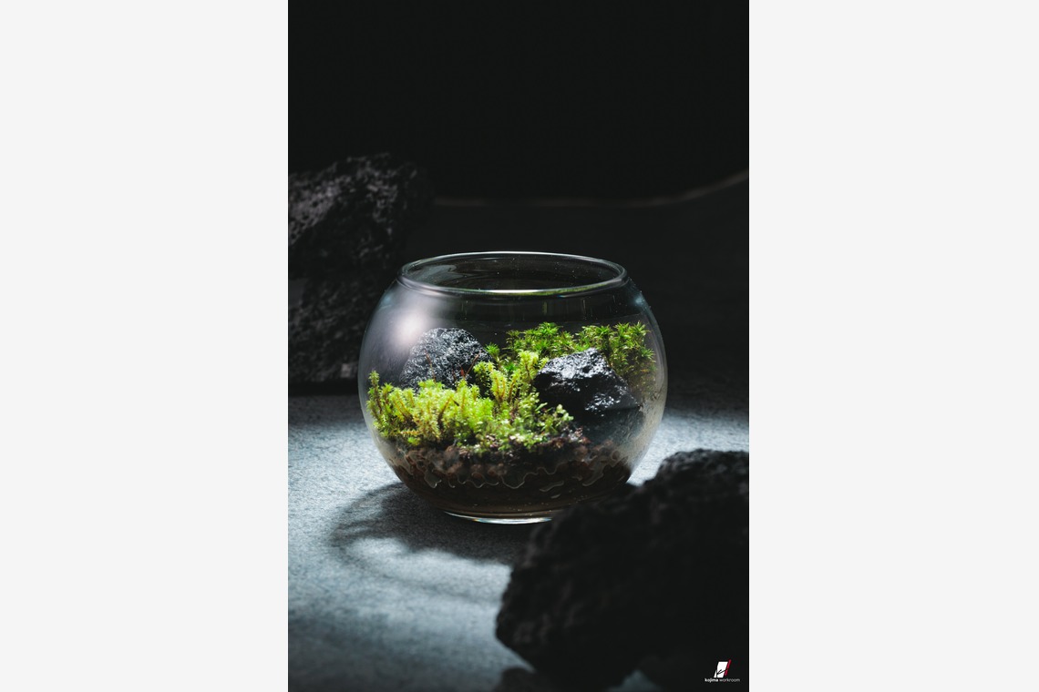 小島　勇次が撮影した写真のアルバム「物撮り」