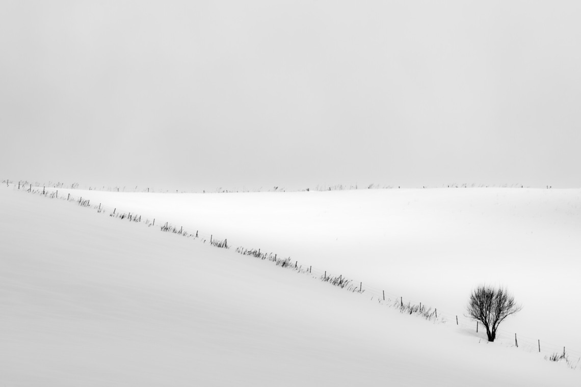 アンドCが撮影した写真のアルバム「wabiSabi」