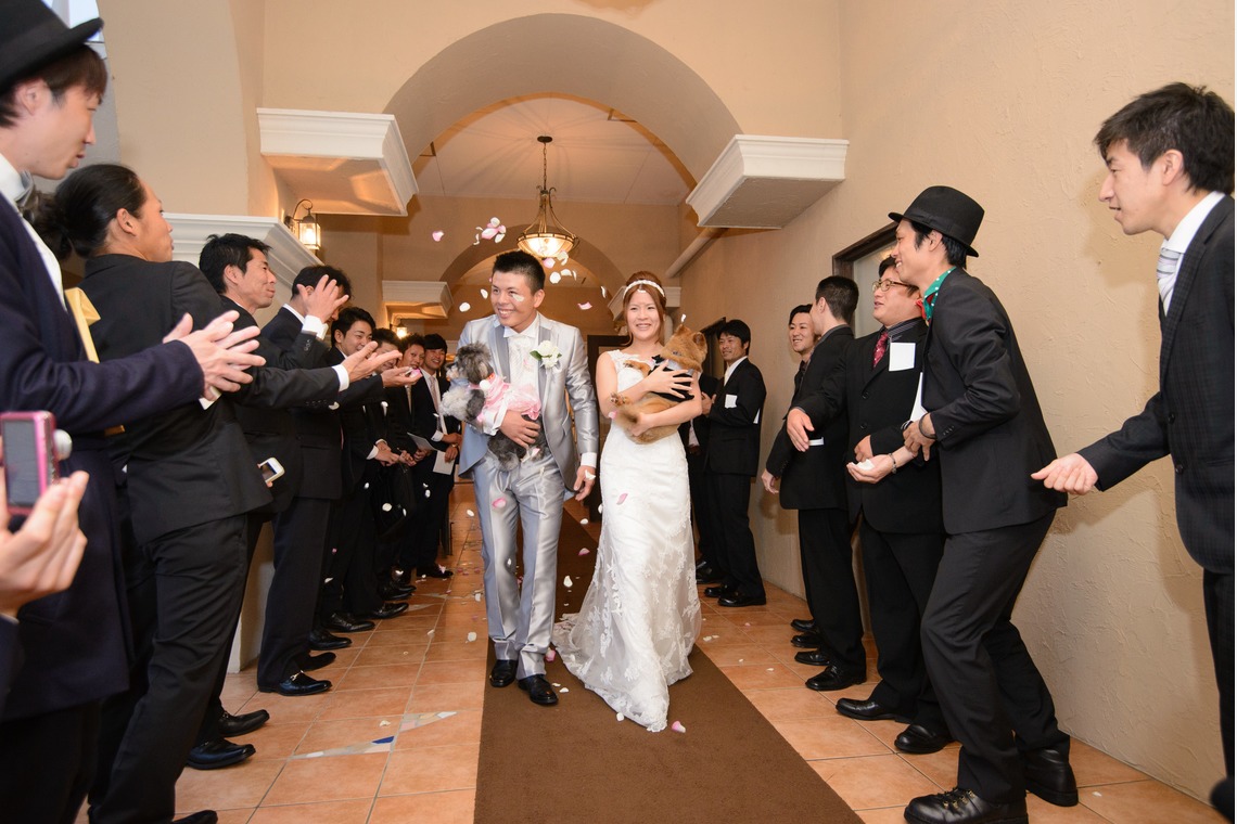 ドラマティックフィルム（島本 浩明）が撮影した「フォトギャラリー」の写真