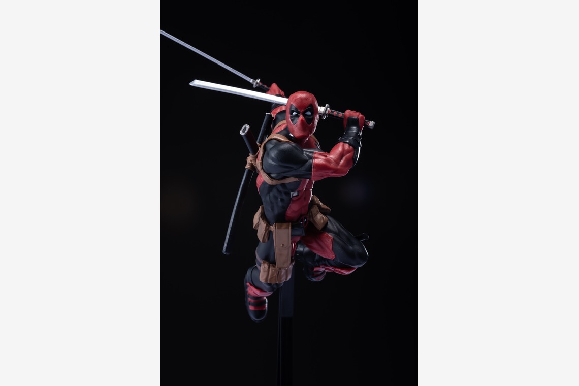 写真屋ごんちゃんが撮影した「figure」の写真