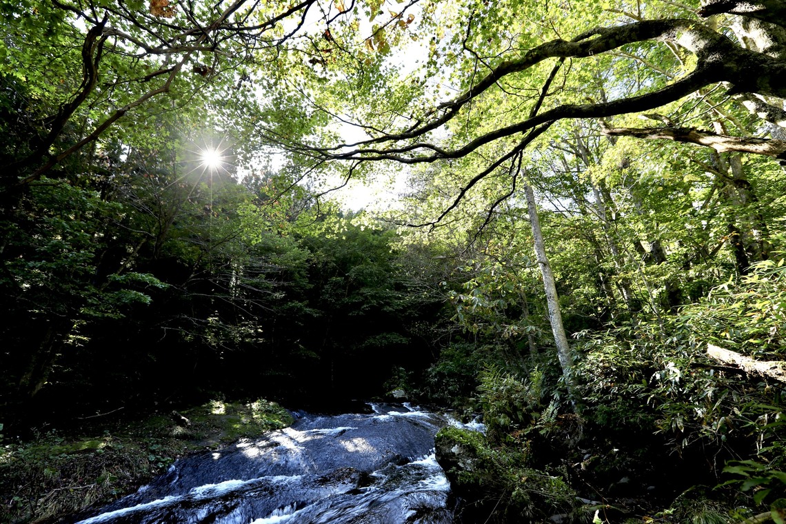 TATEZOUが撮影した「風景写真」の写真