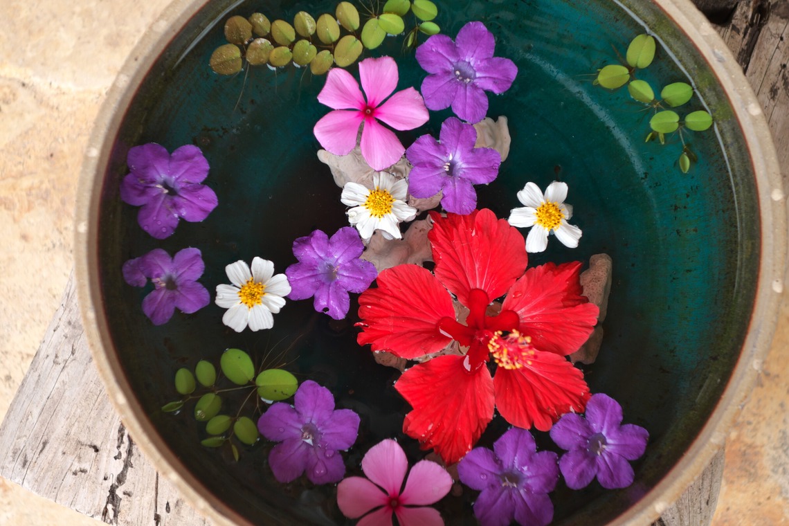 難波卓美が撮影した写真のアルバム「街角スナップ」