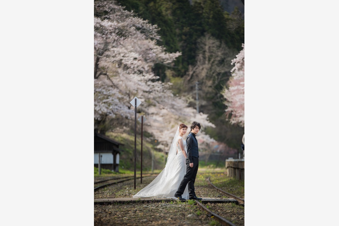 Photo of Sakura taken by My Style Garden Studio 