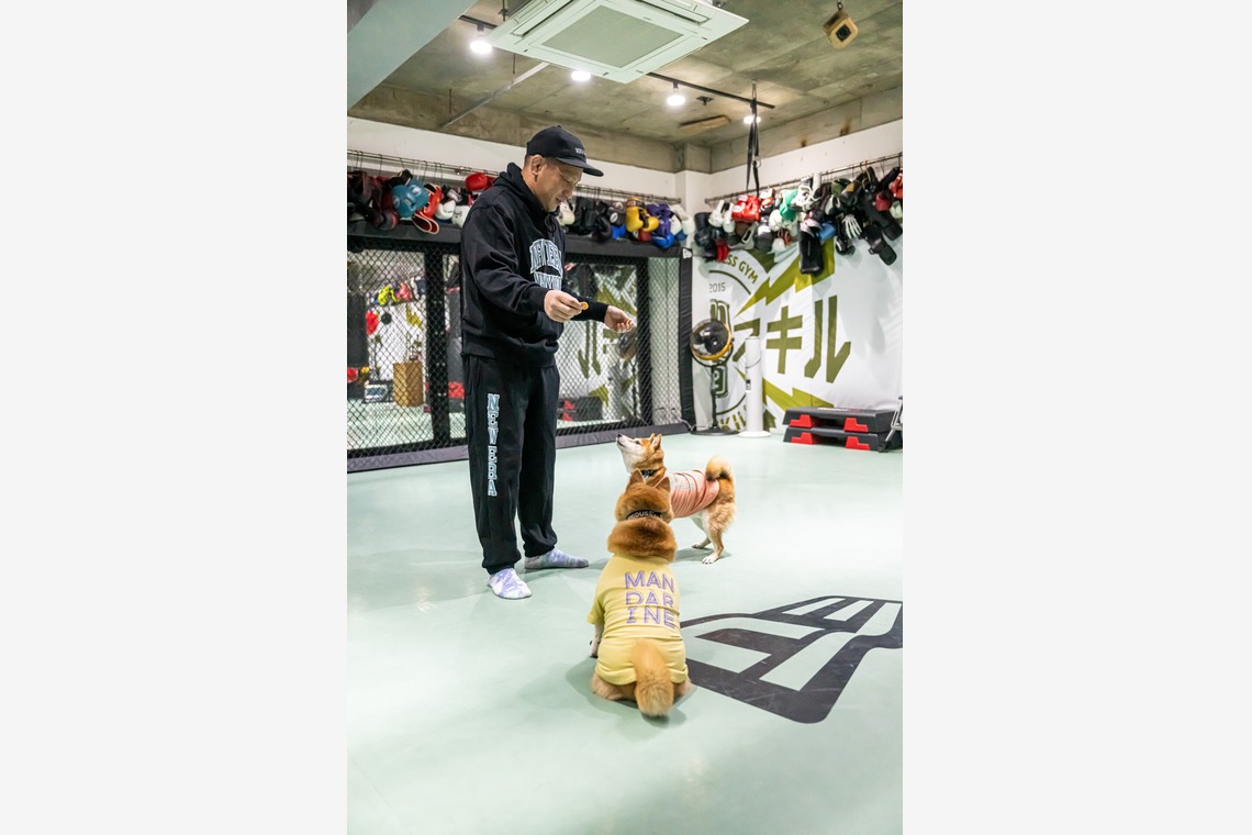 吉田佳央が撮影した「DOG SHOOTING」の写真