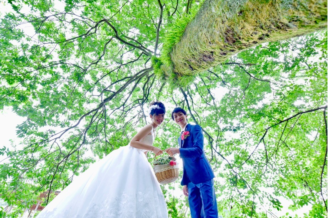 Album of the Wedding, Bridal taken by Kiki photo works - Pre Weddingphotoshoot at Nara