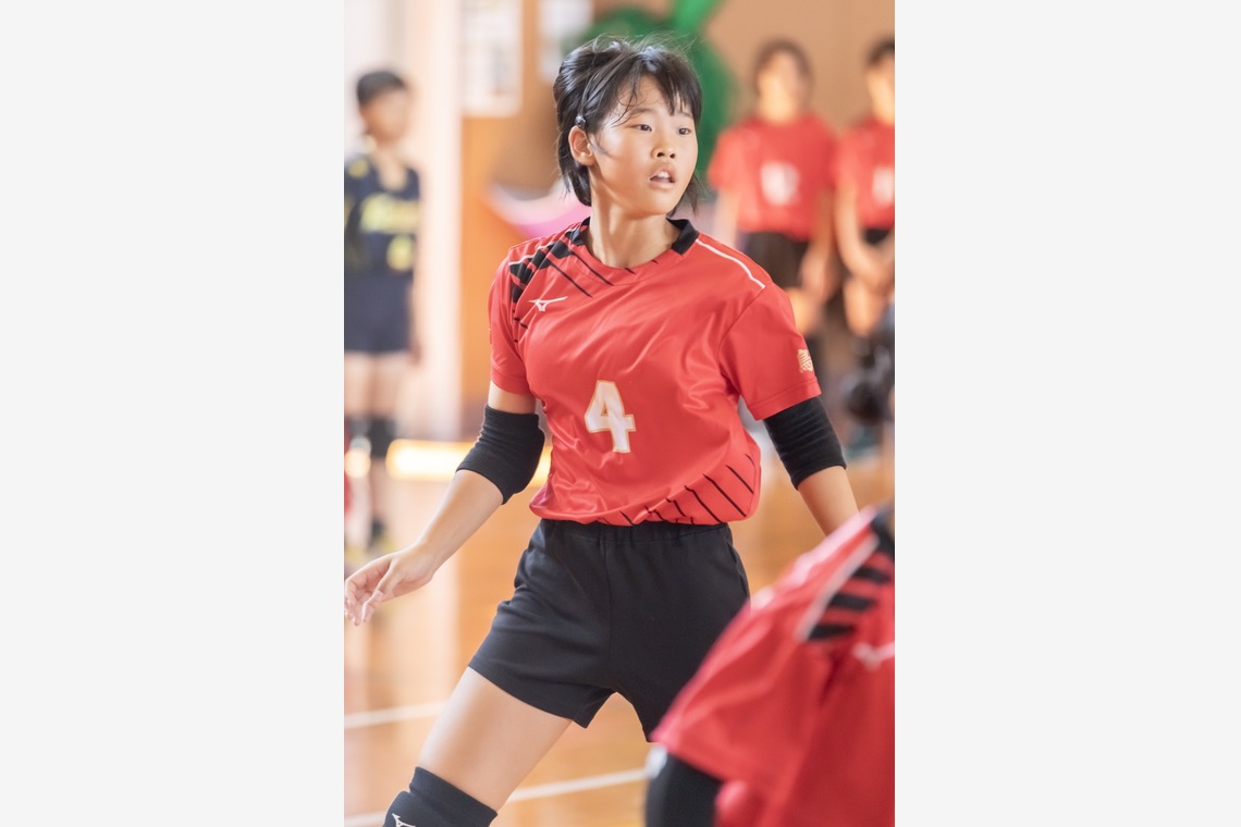 武内ピクチャーズが撮影した写真のアルバム「スポーツフォト(バレーボール)」