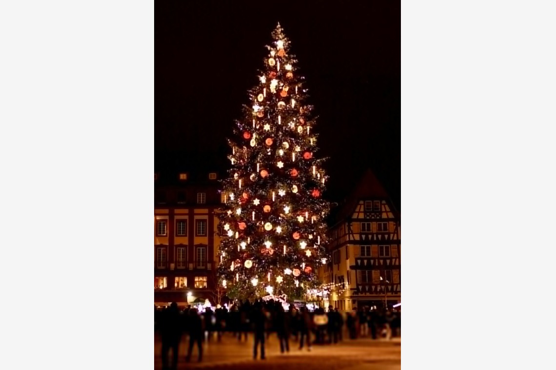 radsafariが撮影した「景色」の写真