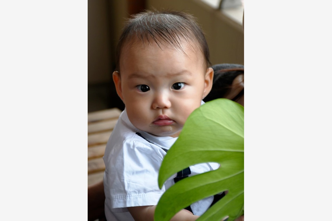 広沢写真事務所が撮影した「家族写真」の写真