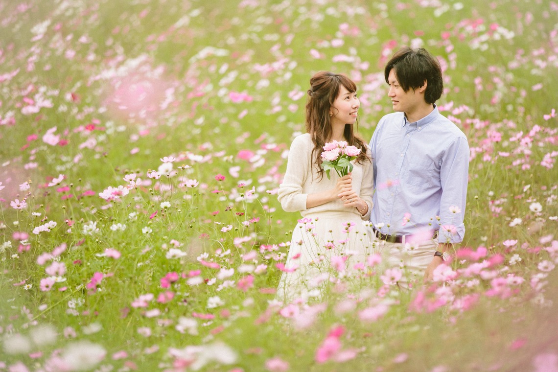 KISA photographyが撮影した写真のアルバム「コスモス畑撮影会」