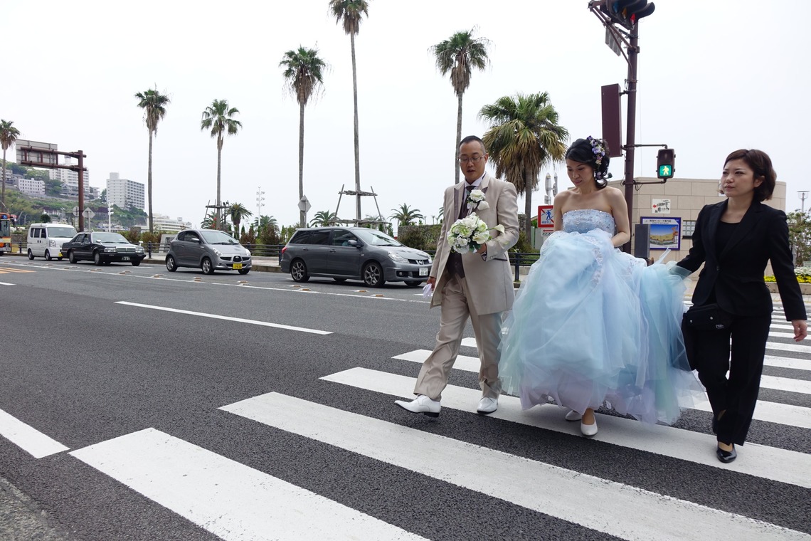 あとりえmagが撮影した「みかんの木」の写真