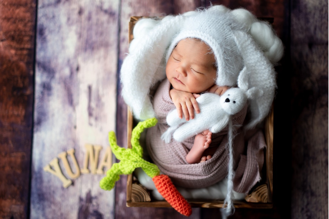 サキヤマ リエが撮影した写真のアルバム「ピンク系・うさぎのぬいぐるみ・女の子のニューボーンフォト 」