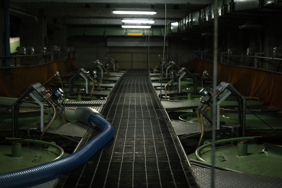 NAGASHIMA Photography