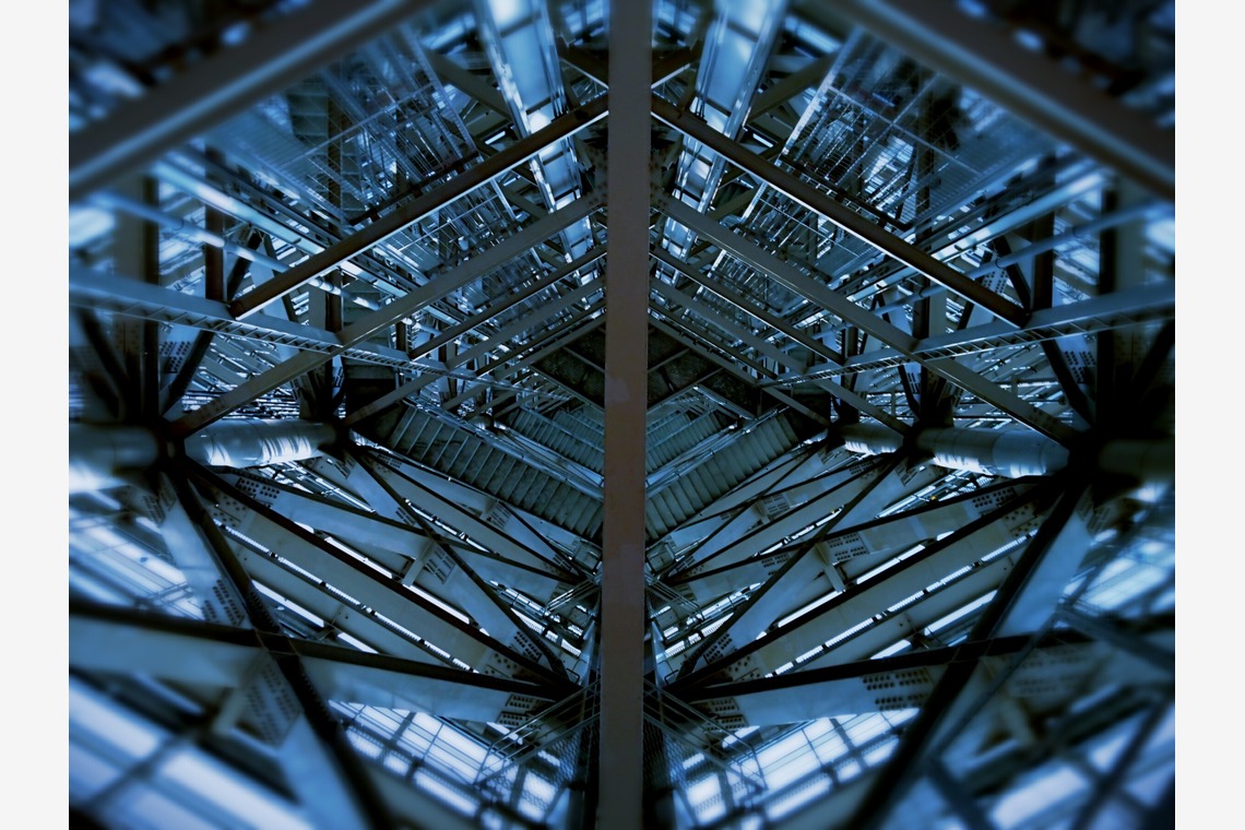 出張撮影のメモリーズが撮影した「nature-アラカルト」の写真