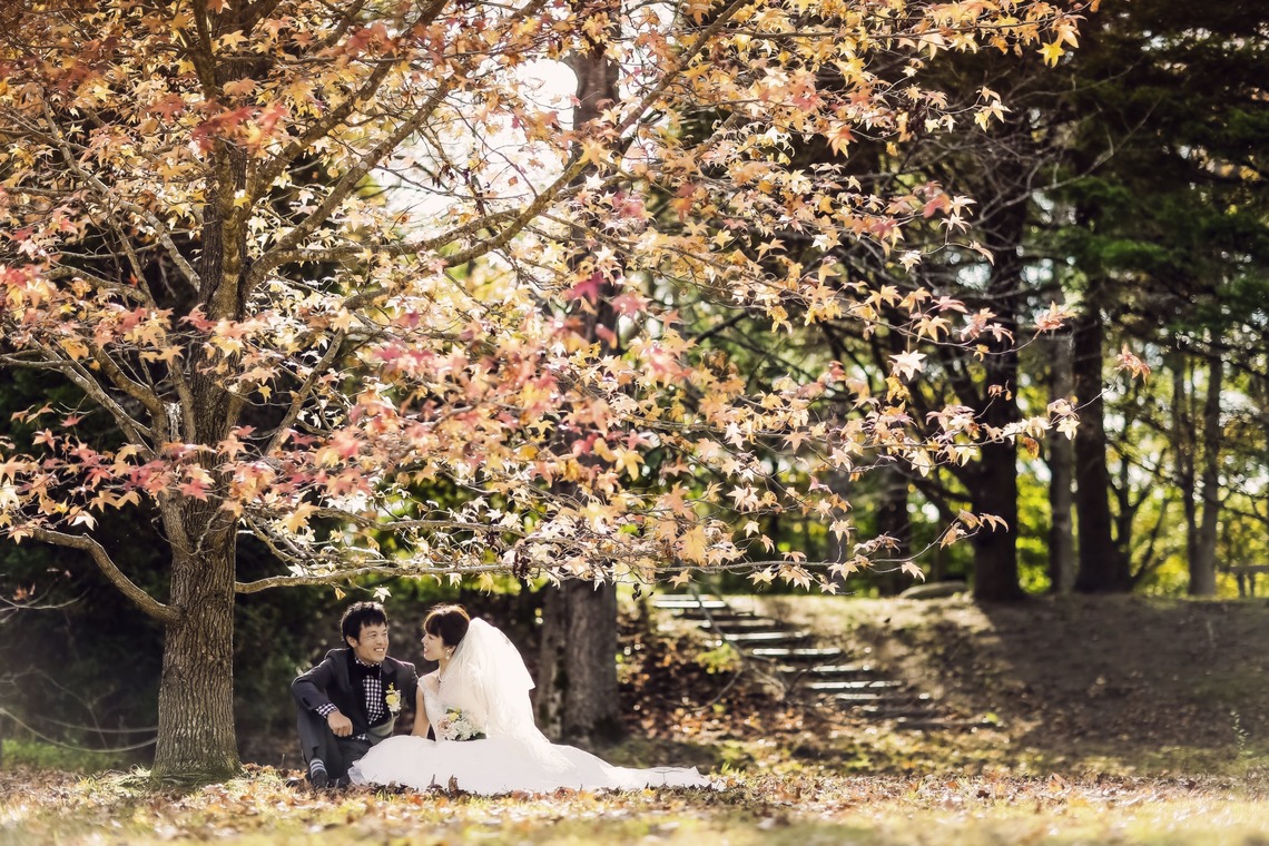 Photo of  taken by elle pupa