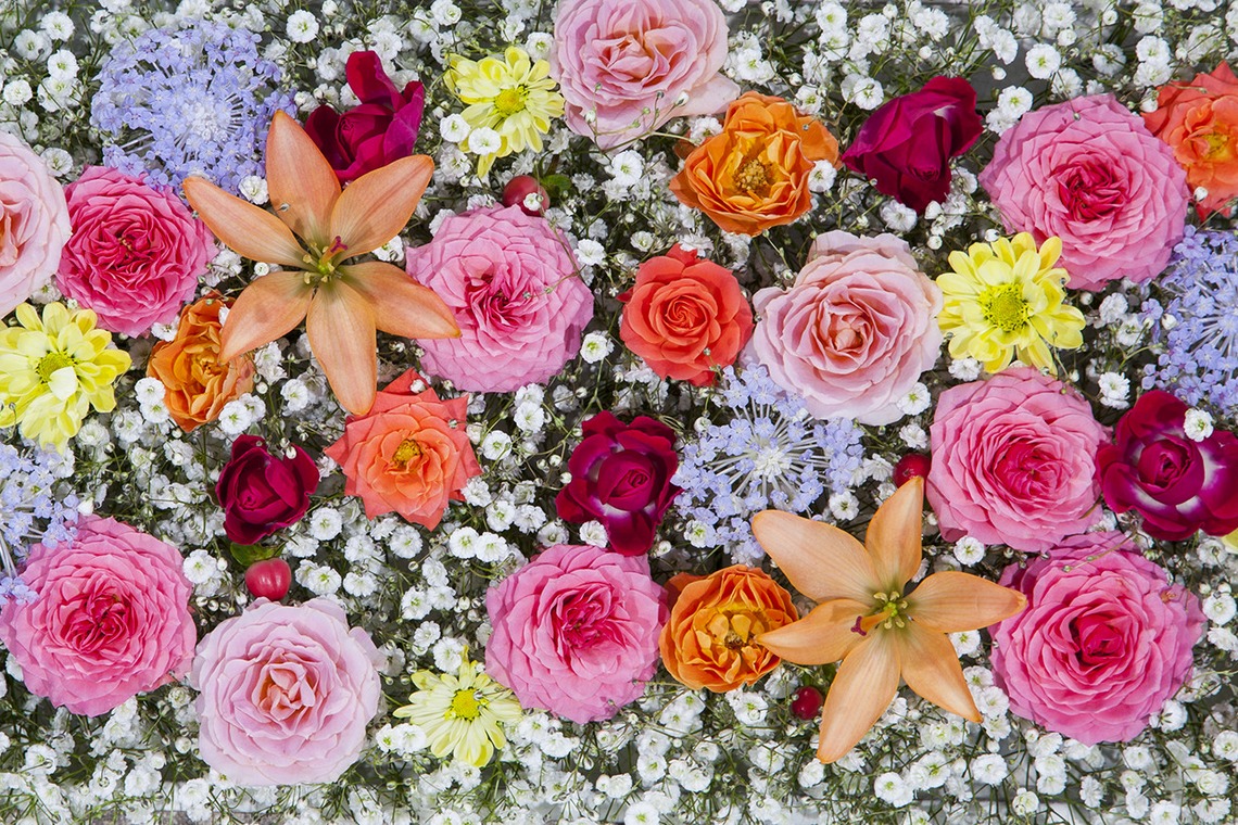 A&K STUDIO CO.,LTD.（上野 晃嗣）が撮影した写真のアルバム「広告写真」