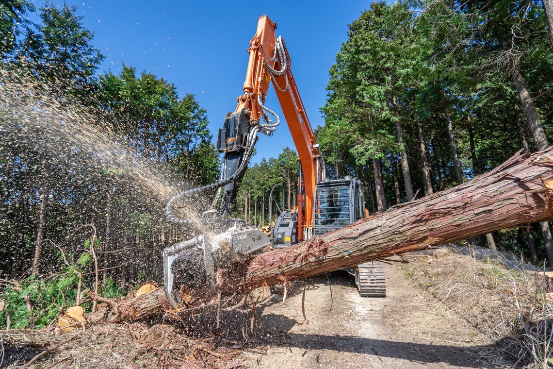 山口　竜が撮影した「宣材写真」の写真