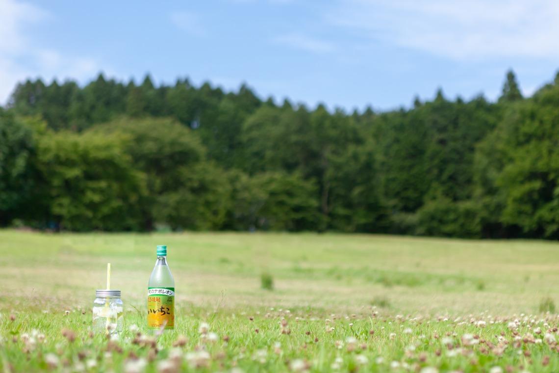 株式会社クリフが撮影した写真のアルバム「商品写真作例」