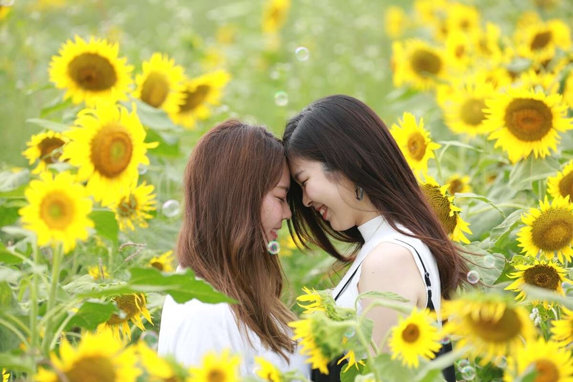 理 S PHOTOが撮影した「鼻高展望ひまわり畑」の写真