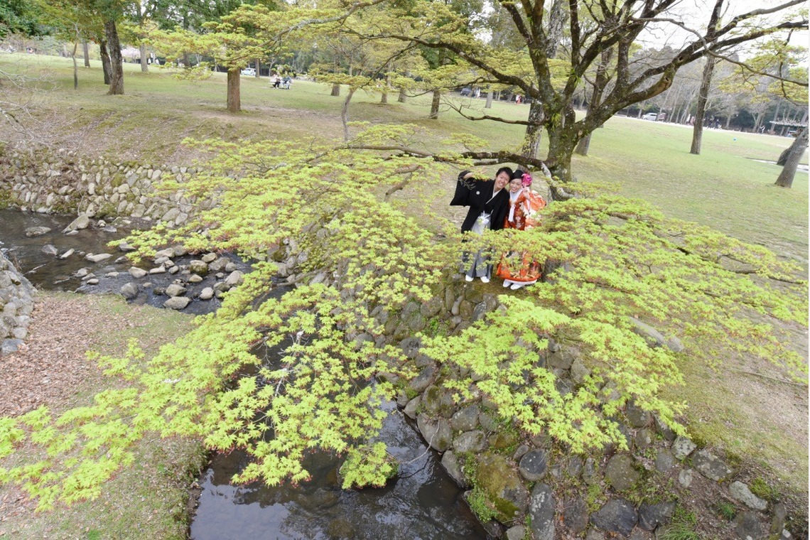 Photo of Pre Weddingphotoshoot in Nara park in the cherry blossom season for foreigners. taken by Kiki photo works